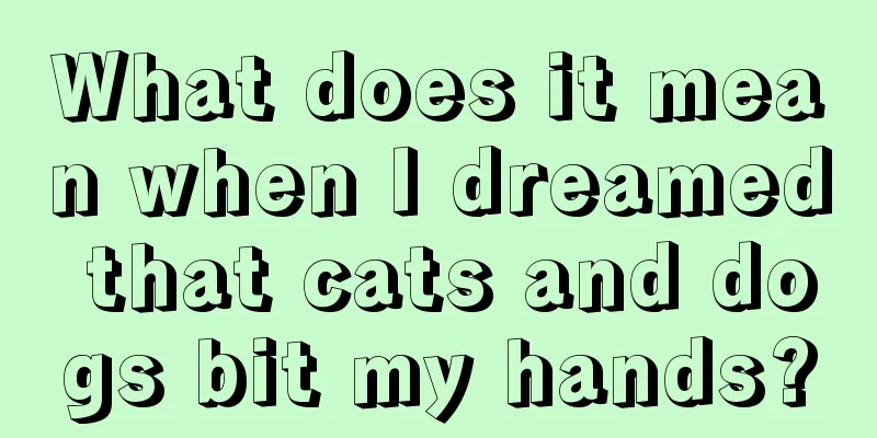 What does it mean when I dreamed that cats and dogs bit my hands?