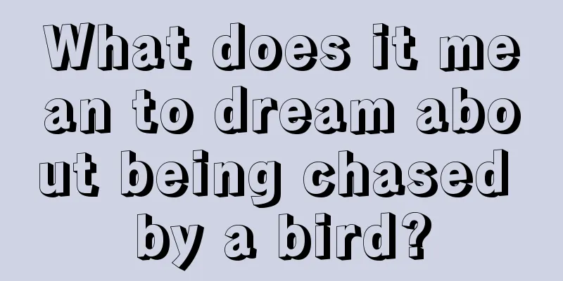 What does it mean to dream about being chased by a bird?