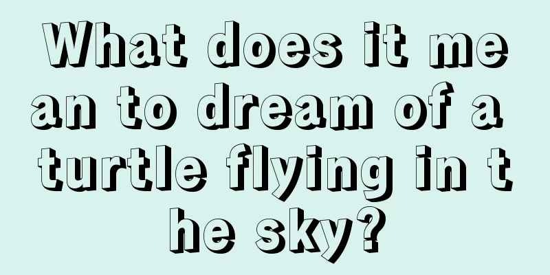 What does it mean to dream of a turtle flying in the sky?