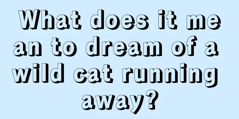 What does it mean to dream of a wild cat running away?