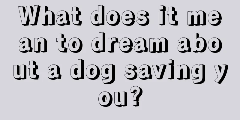 What does it mean to dream about a dog saving you?