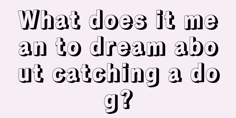 What does it mean to dream about catching a dog?