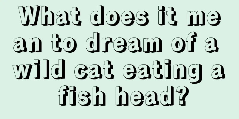 What does it mean to dream of a wild cat eating a fish head?