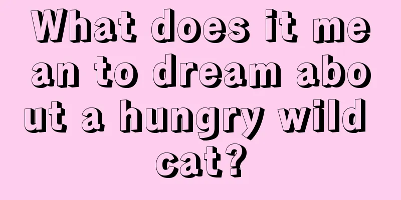 What does it mean to dream about a hungry wild cat?