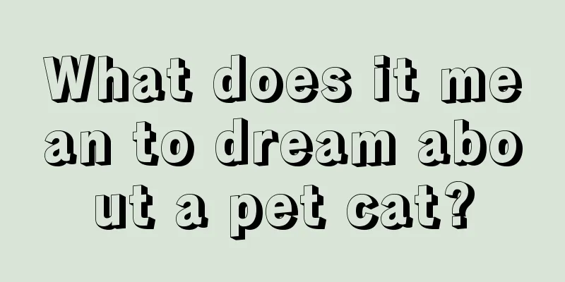 What does it mean to dream about a pet cat?