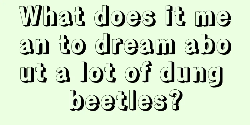 What does it mean to dream about a lot of dung beetles?