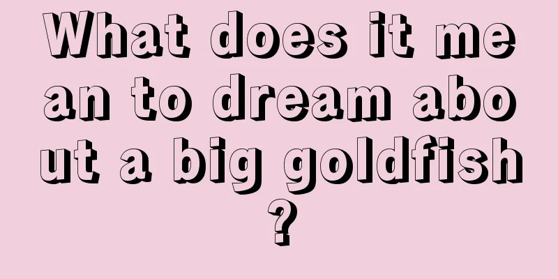 What does it mean to dream about a big goldfish?