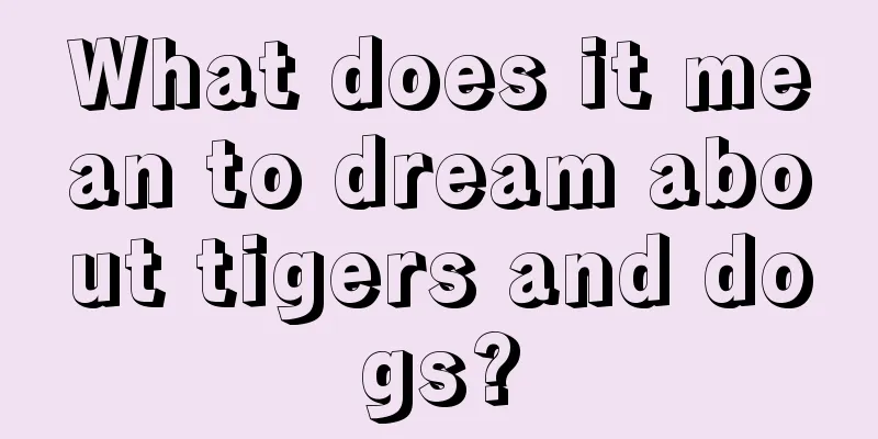 What does it mean to dream about tigers and dogs?