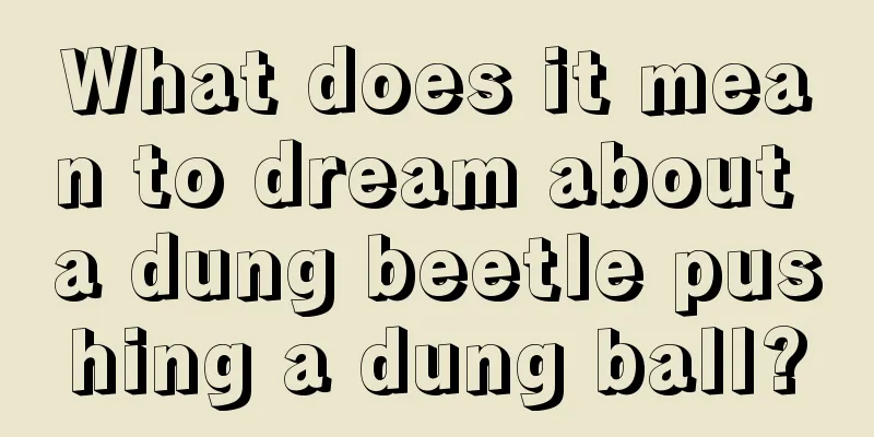 What does it mean to dream about a dung beetle pushing a dung ball?