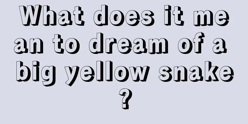 What does it mean to dream of a big yellow snake?