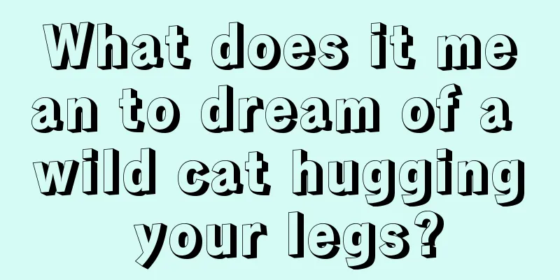 What does it mean to dream of a wild cat hugging your legs?