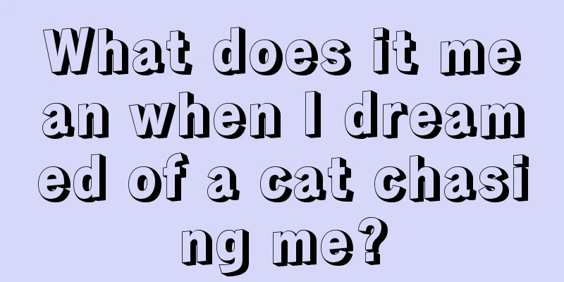 What does it mean when I dreamed of a cat chasing me?