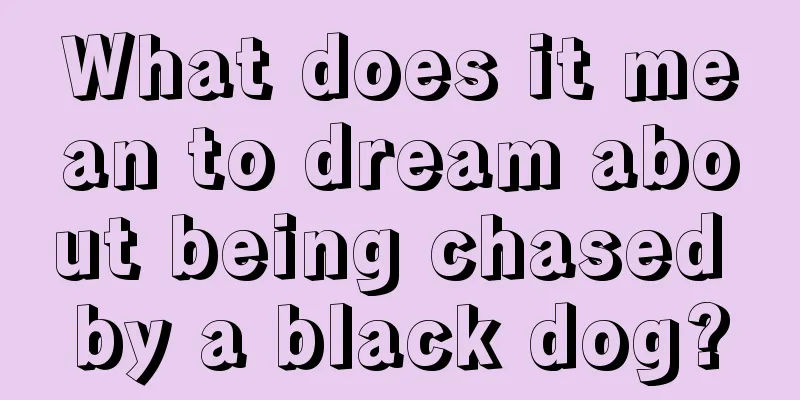 What does it mean to dream about being chased by a black dog?