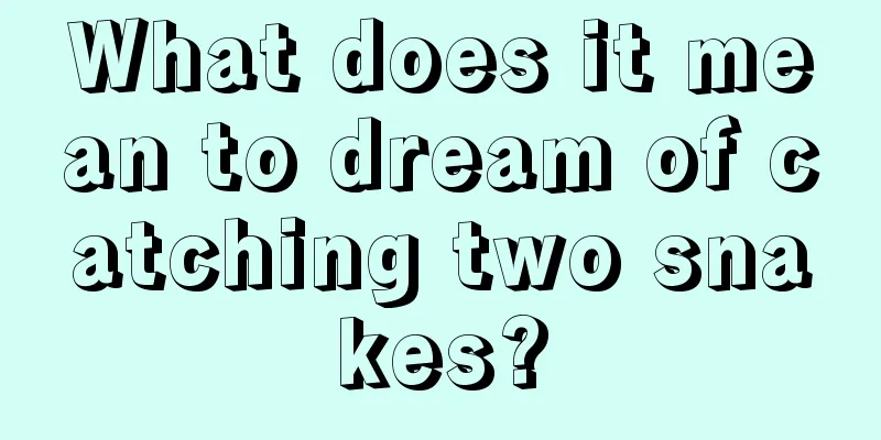 What does it mean to dream of catching two snakes?