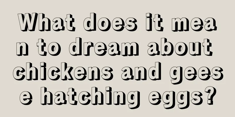 What does it mean to dream about chickens and geese hatching eggs?