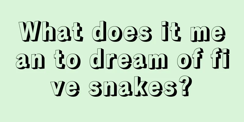 What does it mean to dream of five snakes?