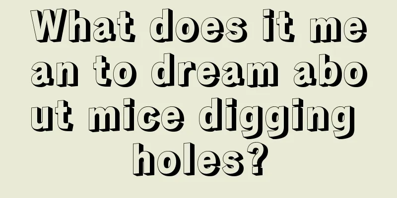 What does it mean to dream about mice digging holes?