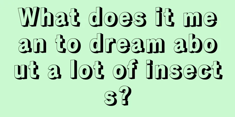 What does it mean to dream about a lot of insects?