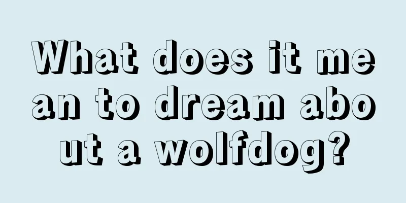 What does it mean to dream about a wolfdog?