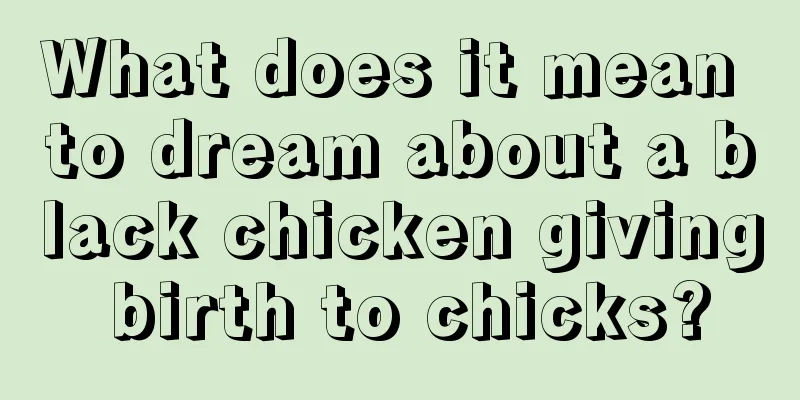 What does it mean to dream about a black chicken giving birth to chicks?