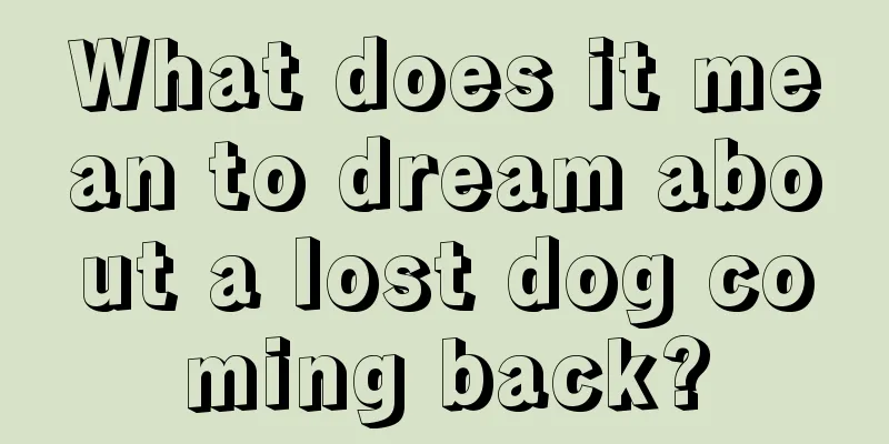 What does it mean to dream about a lost dog coming back?