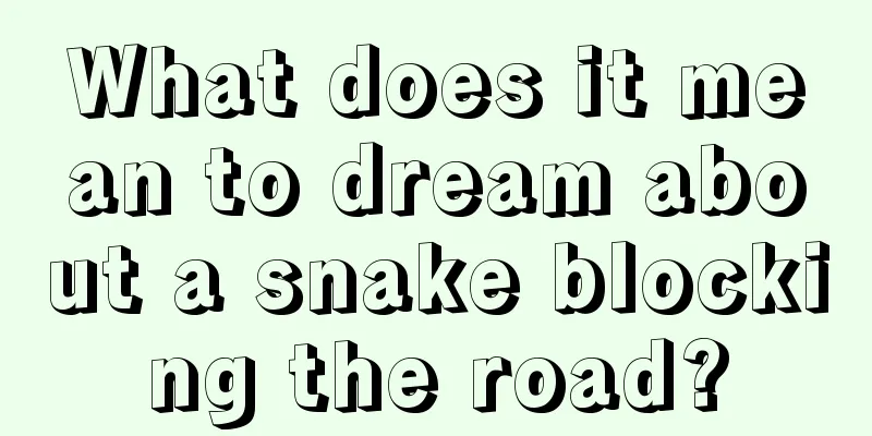 What does it mean to dream about a snake blocking the road?