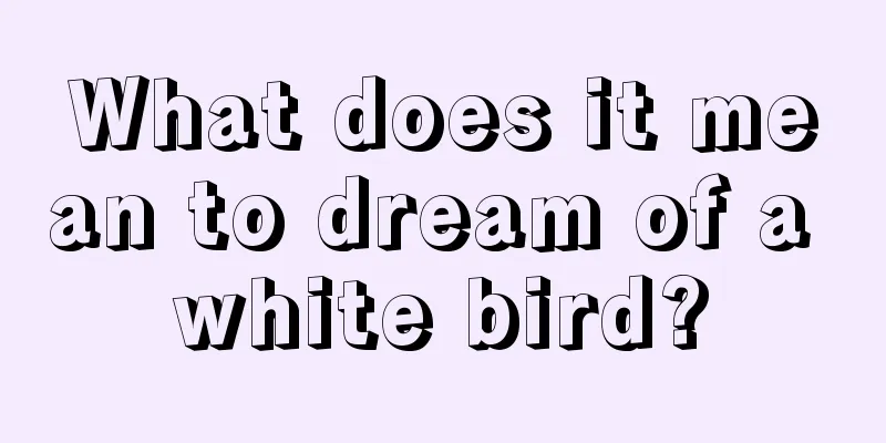 What does it mean to dream of a white bird?