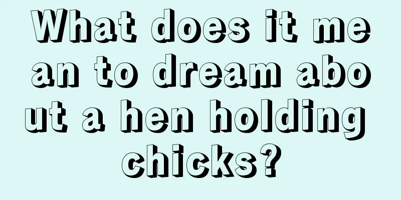 What does it mean to dream about a hen holding chicks?