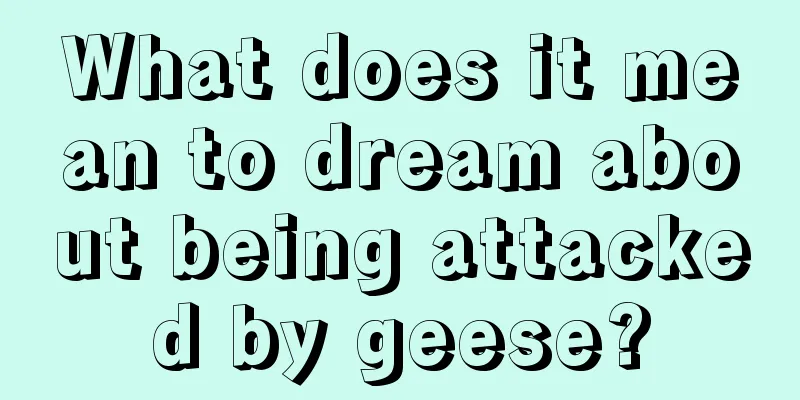 What does it mean to dream about being attacked by geese?