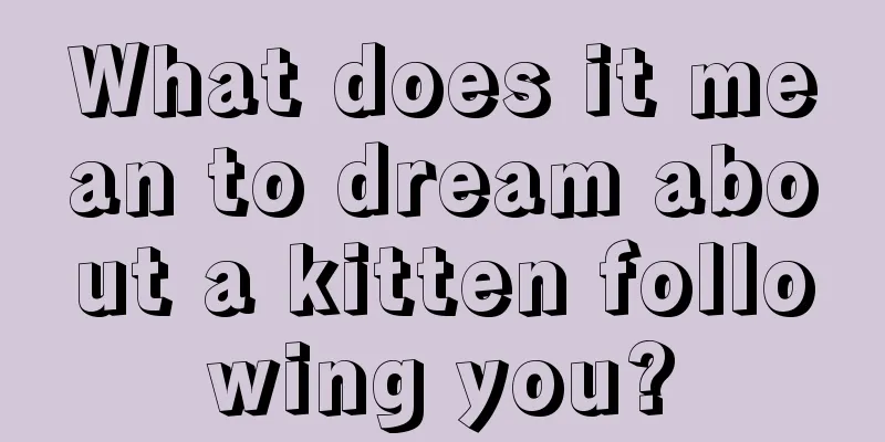 What does it mean to dream about a kitten following you?