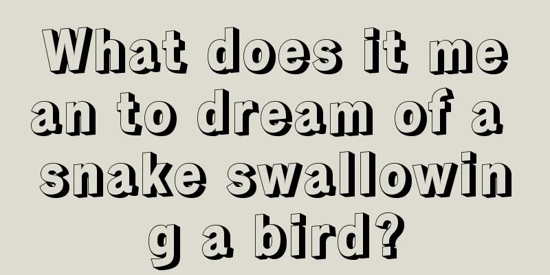 What does it mean to dream of a snake swallowing a bird?