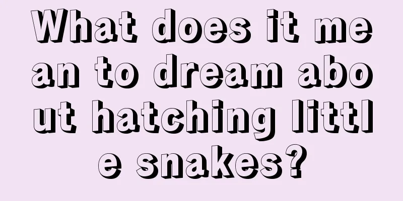 What does it mean to dream about hatching little snakes?