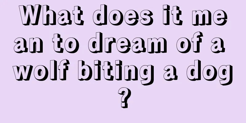 What does it mean to dream of a wolf biting a dog?