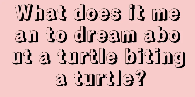 What does it mean to dream about a turtle biting a turtle?