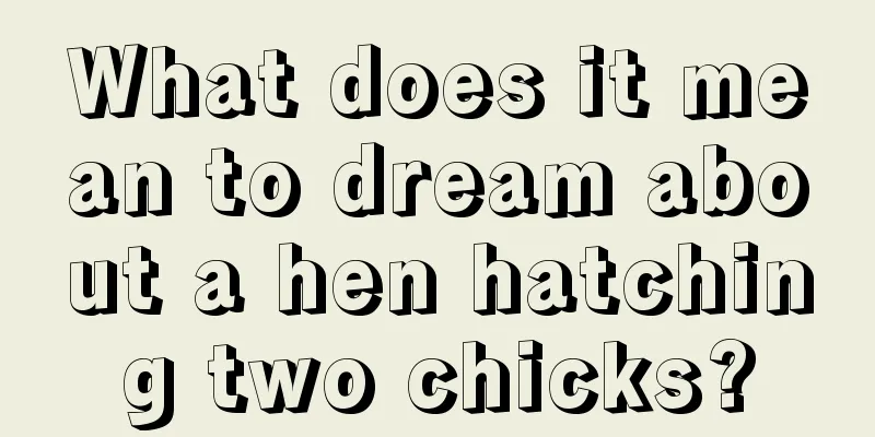 What does it mean to dream about a hen hatching two chicks?