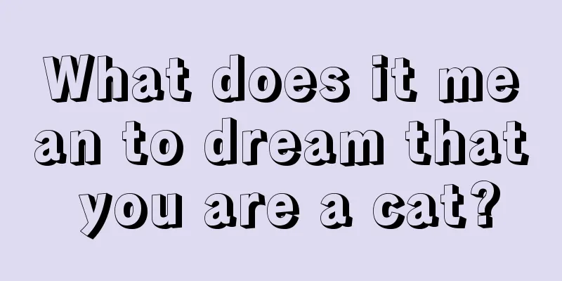 What does it mean to dream that you are a cat?