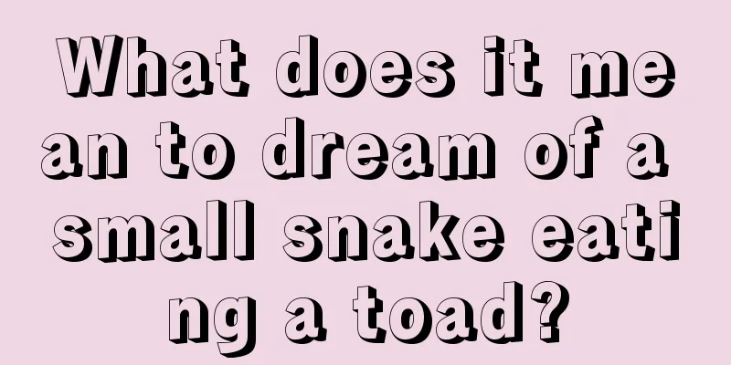 What does it mean to dream of a small snake eating a toad?