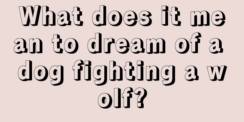 What does it mean to dream of a dog fighting a wolf?