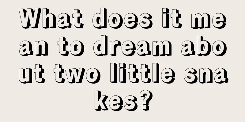 What does it mean to dream about two little snakes?