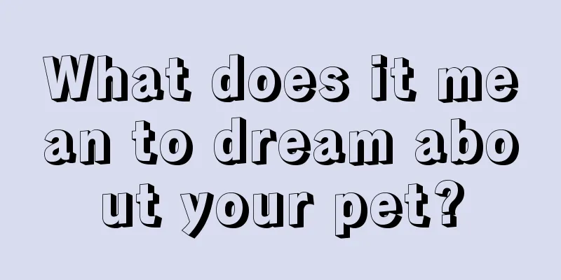 What does it mean to dream about your pet?