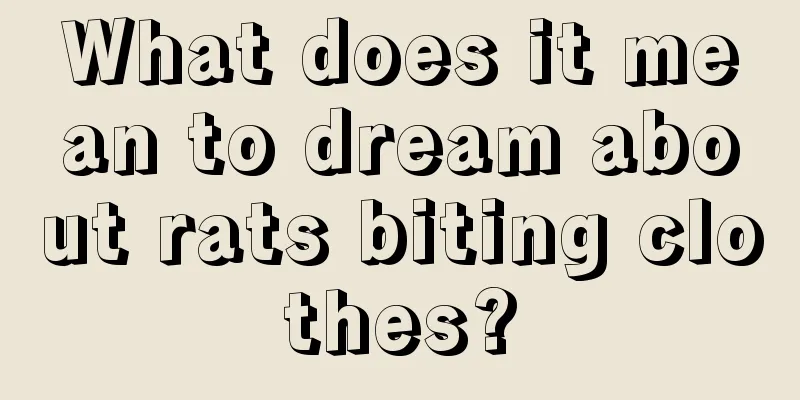 What does it mean to dream about rats biting clothes?