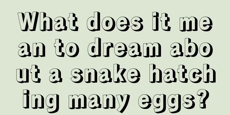 What does it mean to dream about a snake hatching many eggs?