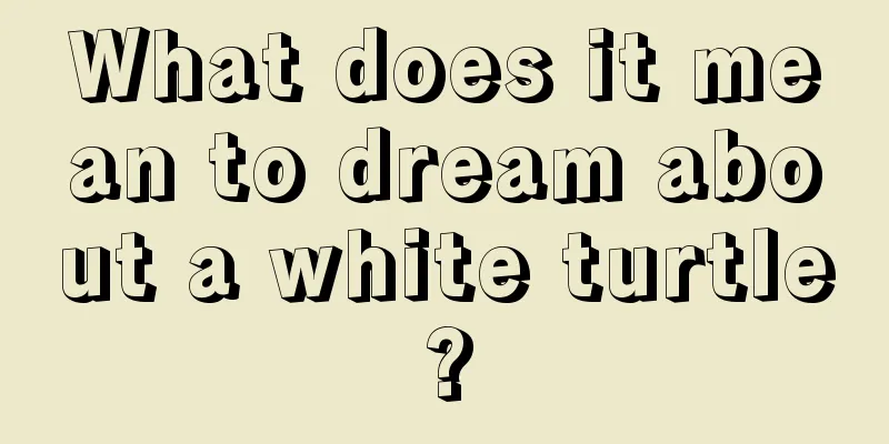 What does it mean to dream about a white turtle?