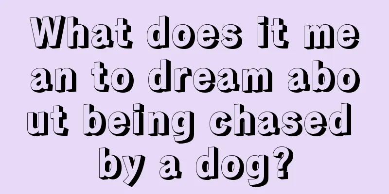 What does it mean to dream about being chased by a dog?