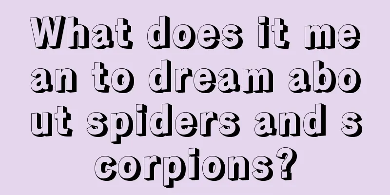 What does it mean to dream about spiders and scorpions?