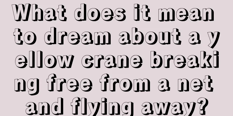 What does it mean to dream about a yellow crane breaking free from a net and flying away?