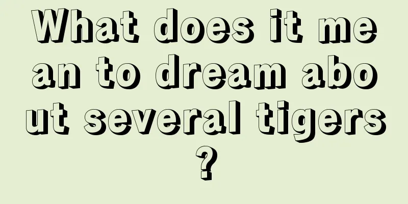 What does it mean to dream about several tigers?