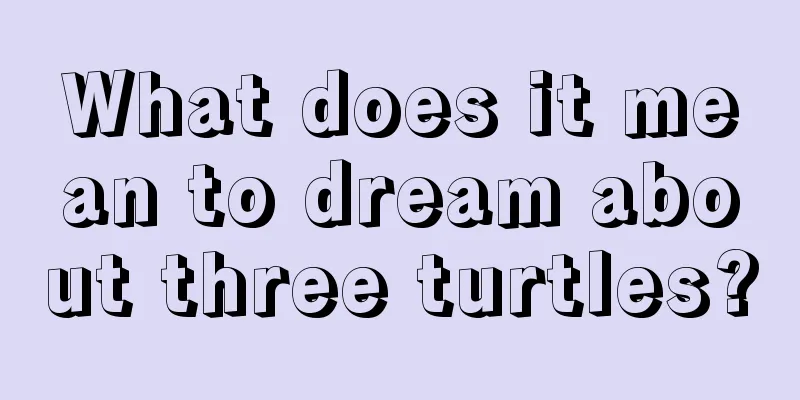 What does it mean to dream about three turtles?