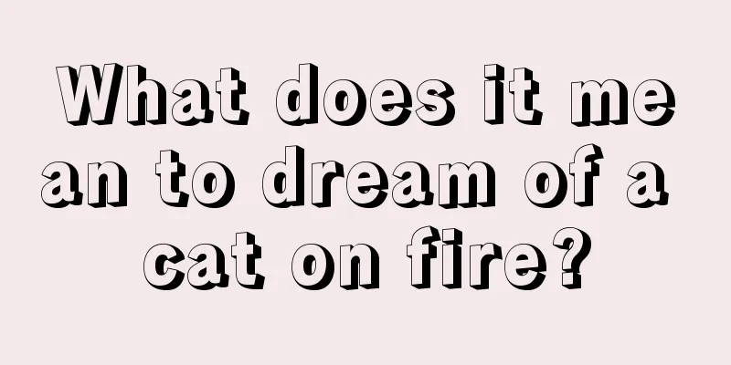 What does it mean to dream of a cat on fire?