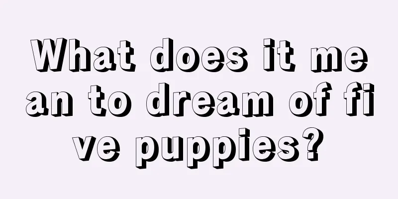 What does it mean to dream of five puppies?